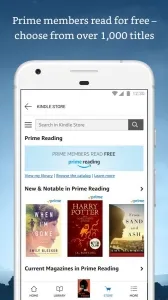 Amazon Kindle screenshot1